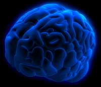 Human Brain