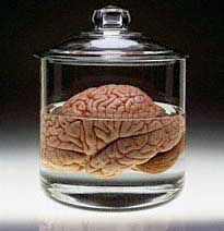 Brain Jar
