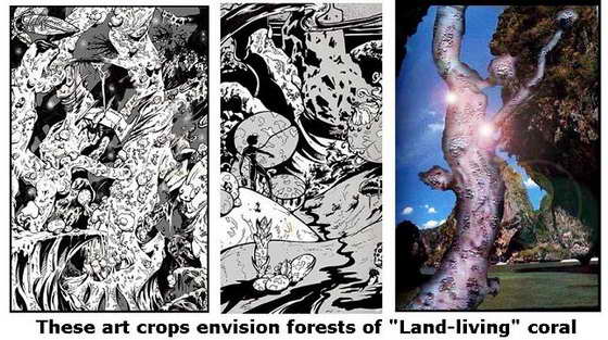 Coral Crops